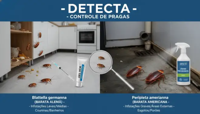 Espécies de baratas e métodos de controle que influenciam o valor da dedetização