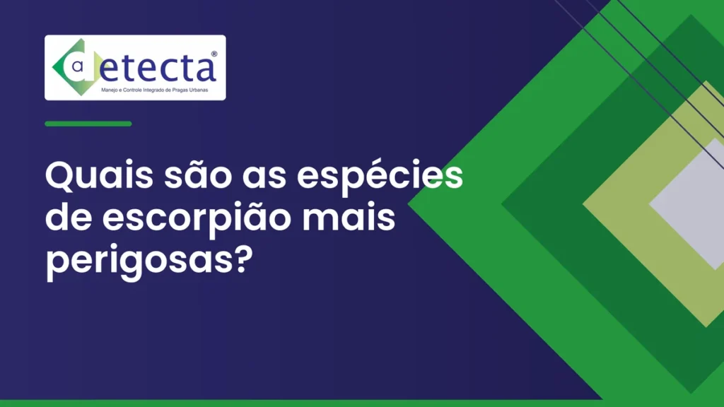 Capa do artigo sobre quais são as espécies de escorpião mais perigosas.