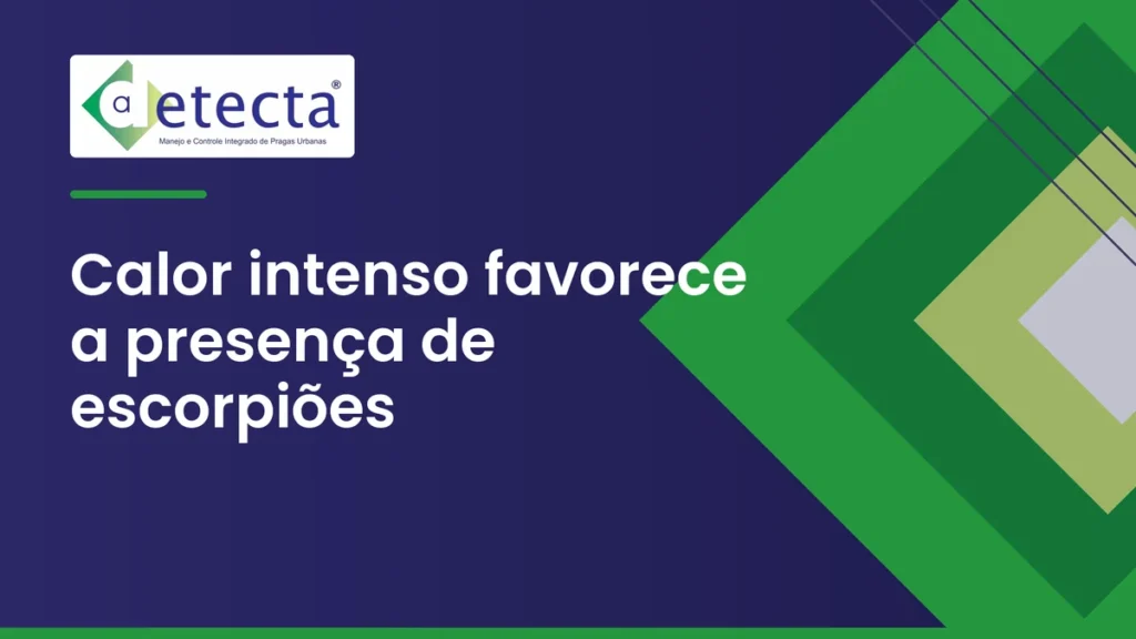 Capa do artigo sobre calor intenso favorece a presença de escorpiões.