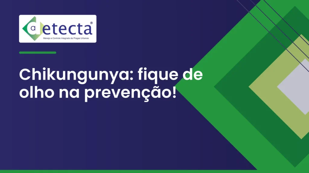 Capa do artigo sobre chikungunya: fique de olho na prevenção.