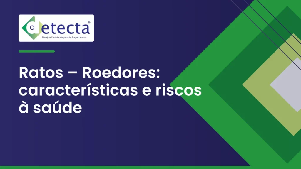 Capa do artigo sobre ratos – Roedores.