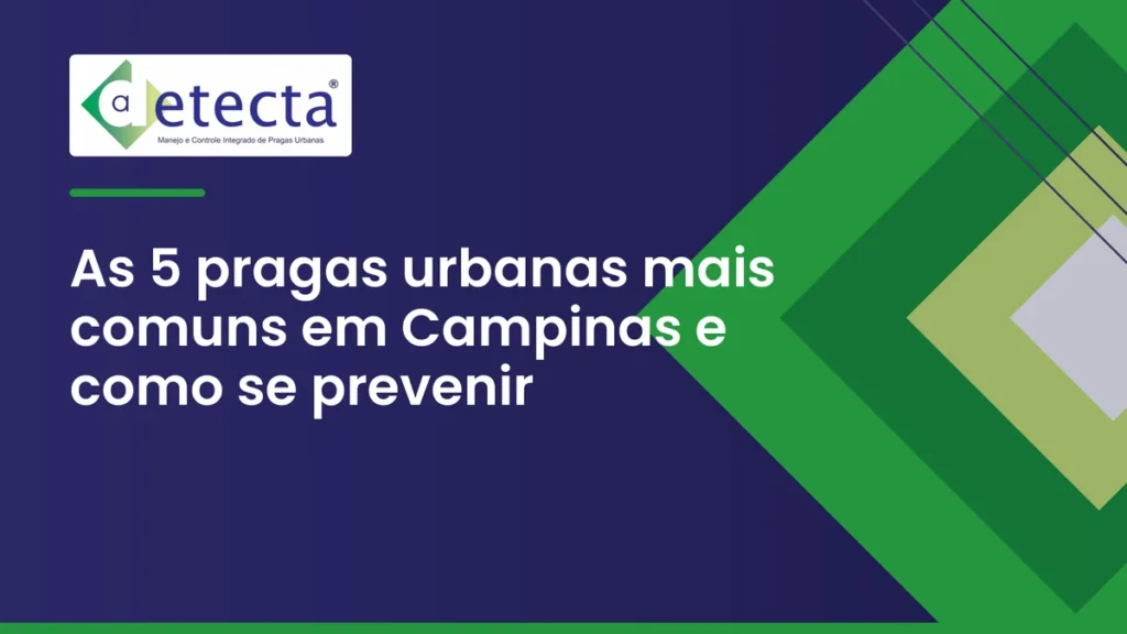 Capa do artigo sobre as 5 pragas urbanas mais comuns em Campinas e como se prevenir.