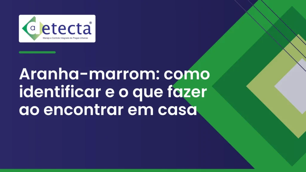 Capa do artigo sobre aranha-marrom.